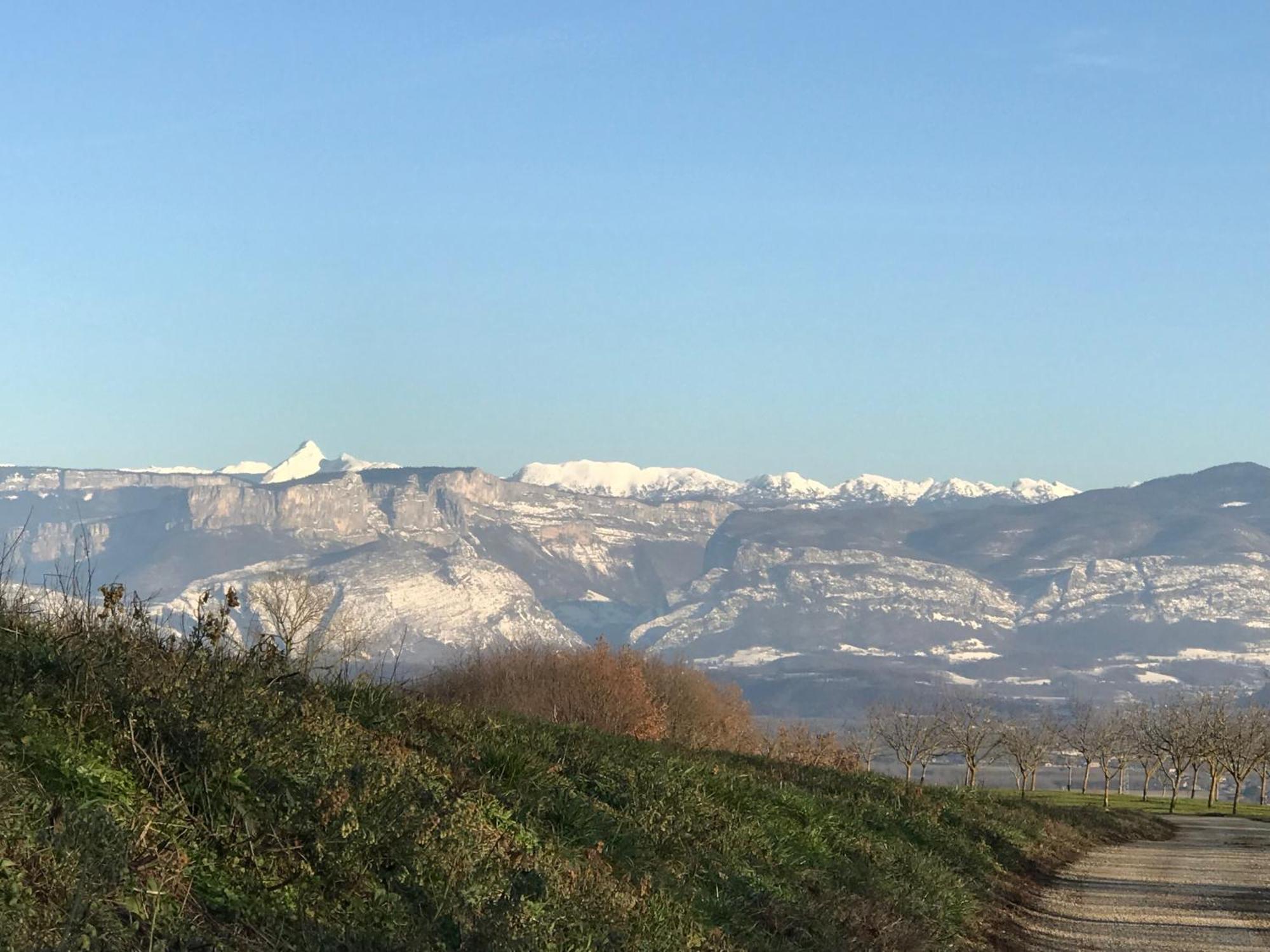 Gites&Chambres D Hotes Les Granges Du Fournel Saint-Lattier Exterior foto